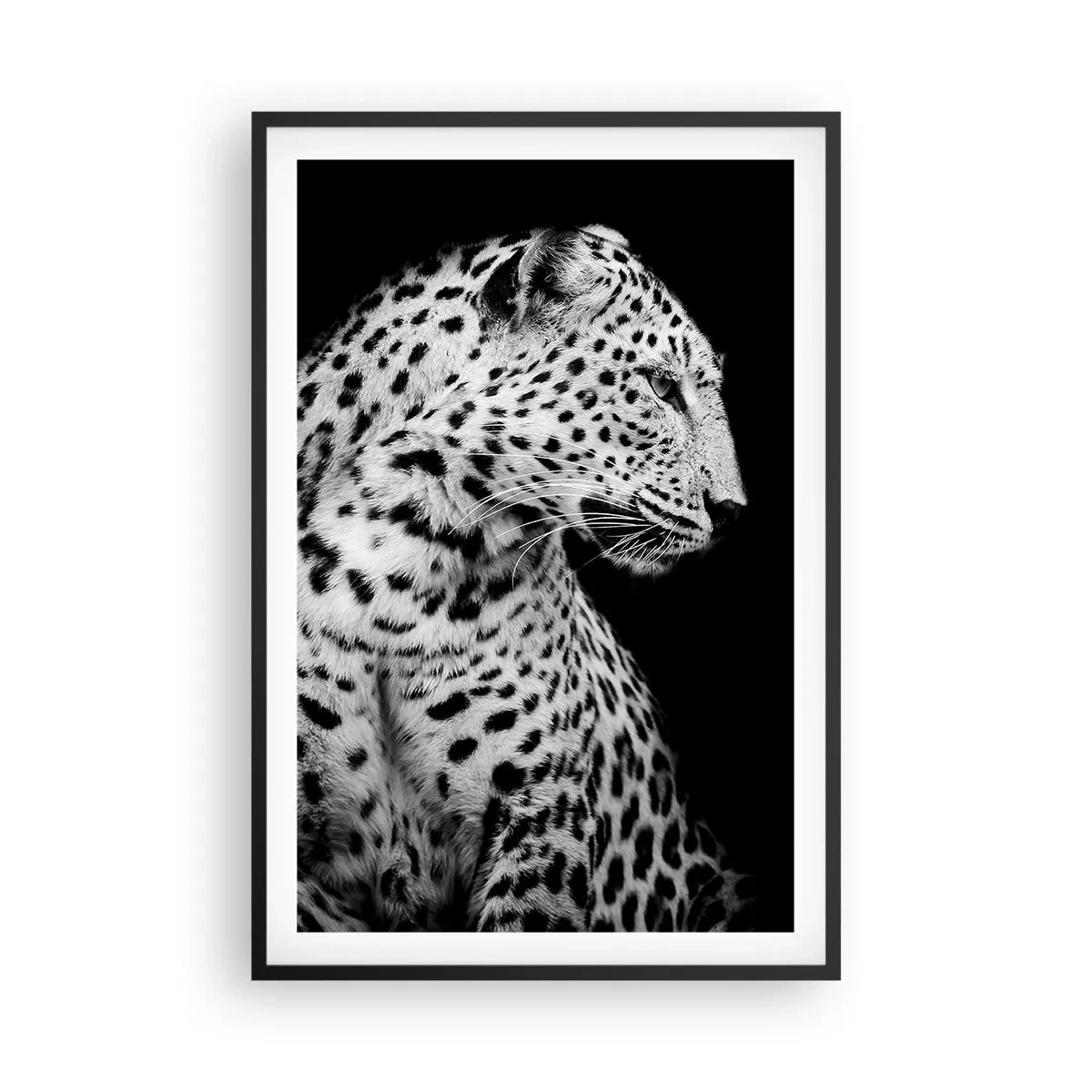Affisch i svart ram - Perfekt höger profil! - 61x91 cm
