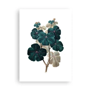 Affisch - Från ett gammalt herbarium - 50x70 cm