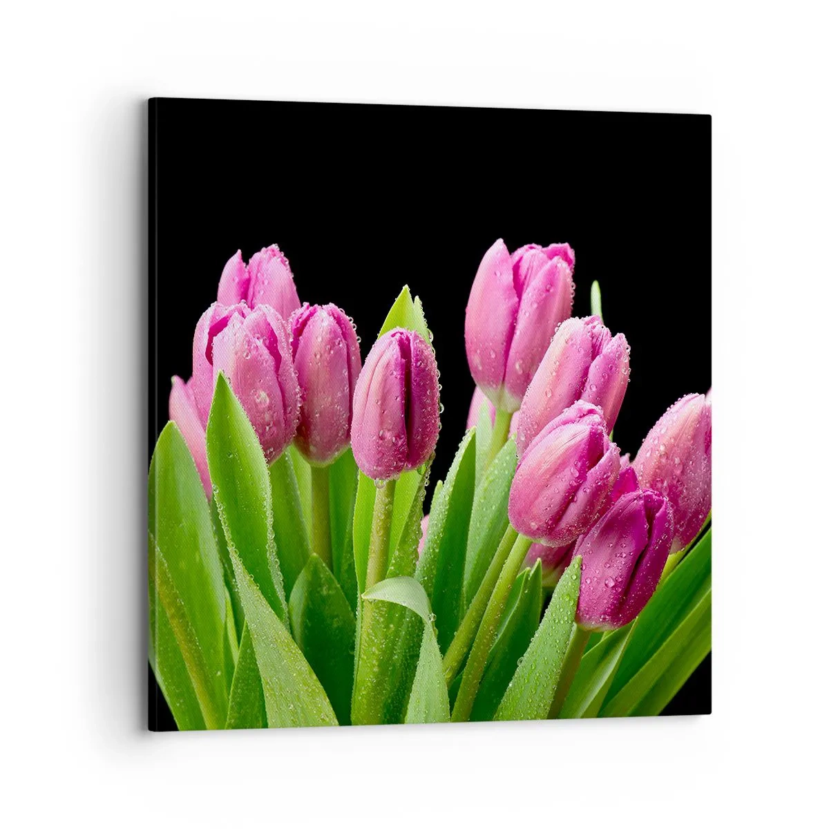 Canvastavla - Bild på duk - Vårens lila glädje - 70x70 cm