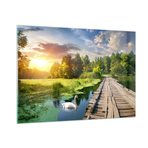 Glastavla - Bild på glas - Sommar, sommar överallt - 100x70 cm