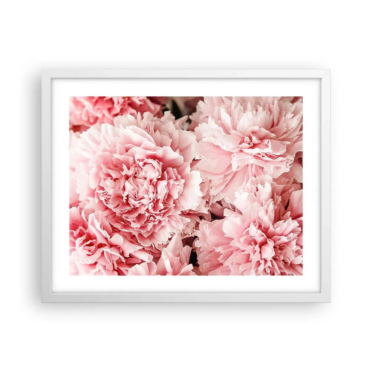 Affisch i vit ram - Rosa dröm - 50x40 cm