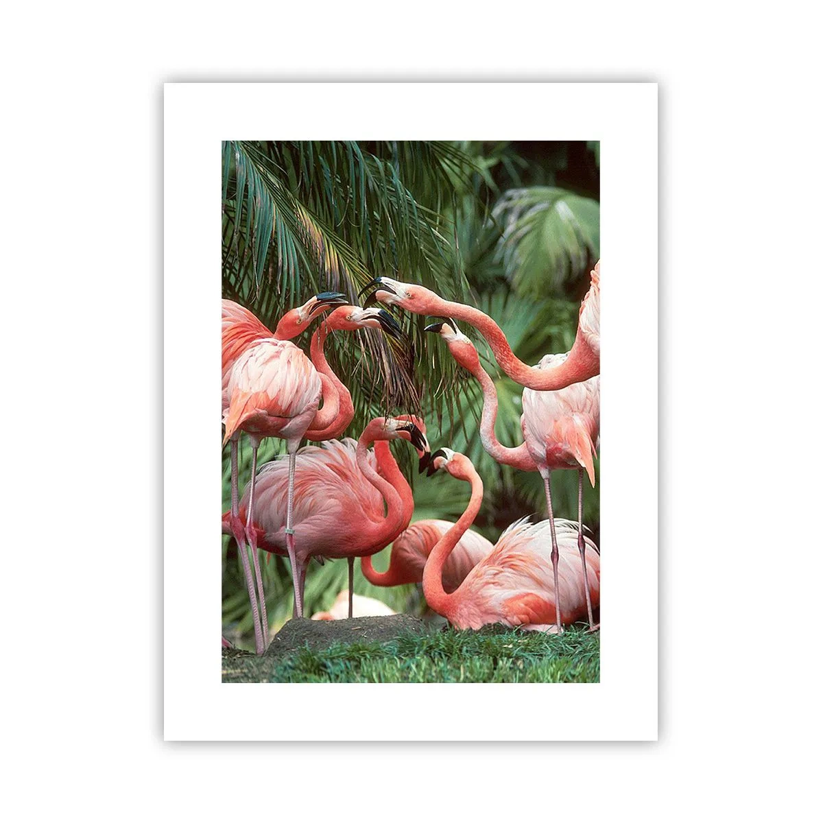 Affisch - Eftermiddags skvaller - 30x40 cm