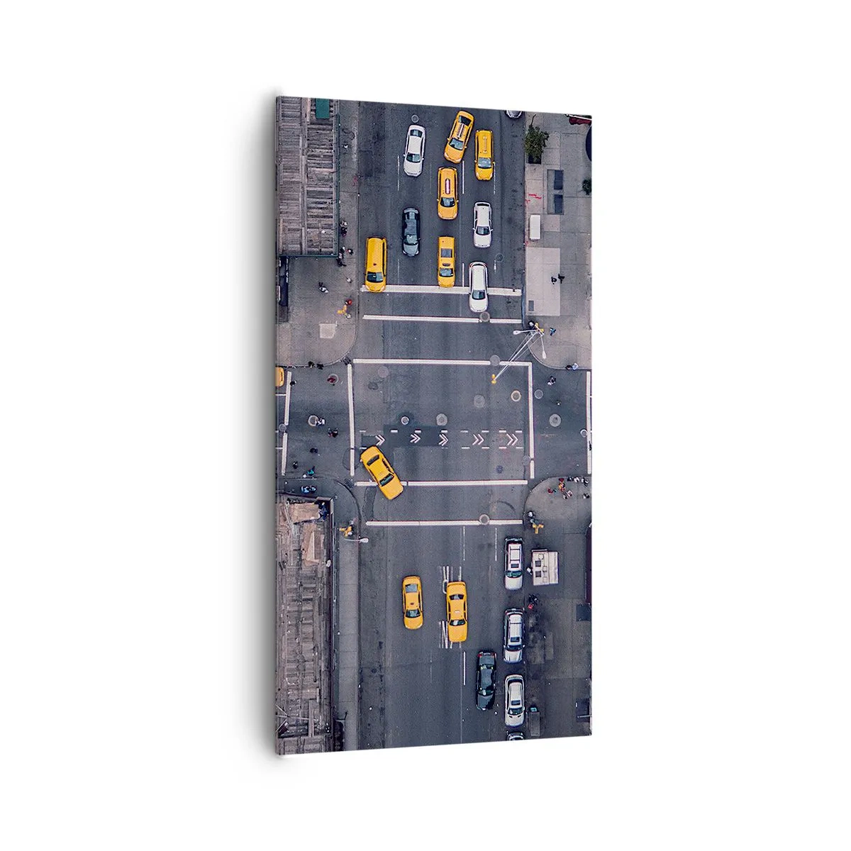 Canvastavla - Bild på duk - Enkelt val - 65x120 cm