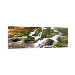 Glastavla - Bild på glas - Kvickt genom höstskogen - 160x50 cm