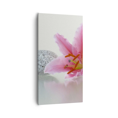 Canvastavla - Bild på duk - En studie i rosa, grå och vit - 55x100 cm