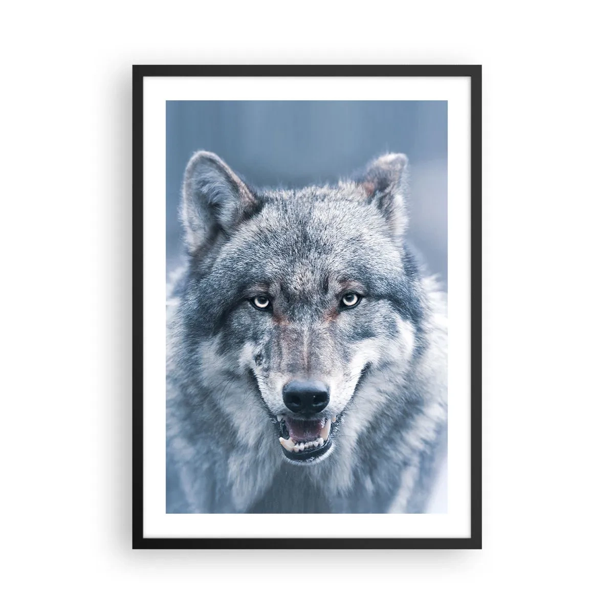 Affisch i svart ram - Porträtt av en varg mot ett vinterlandskap - 50x70cm - Tar du utmaningen? - Modern väggdekoration för vardagsrum och sovrum ARTTOR