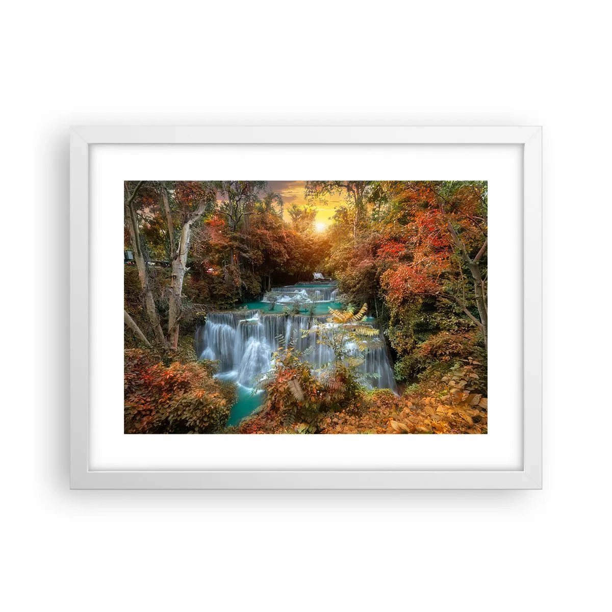 Affisch i vit ram - Skogens skatt - 40x30 cm