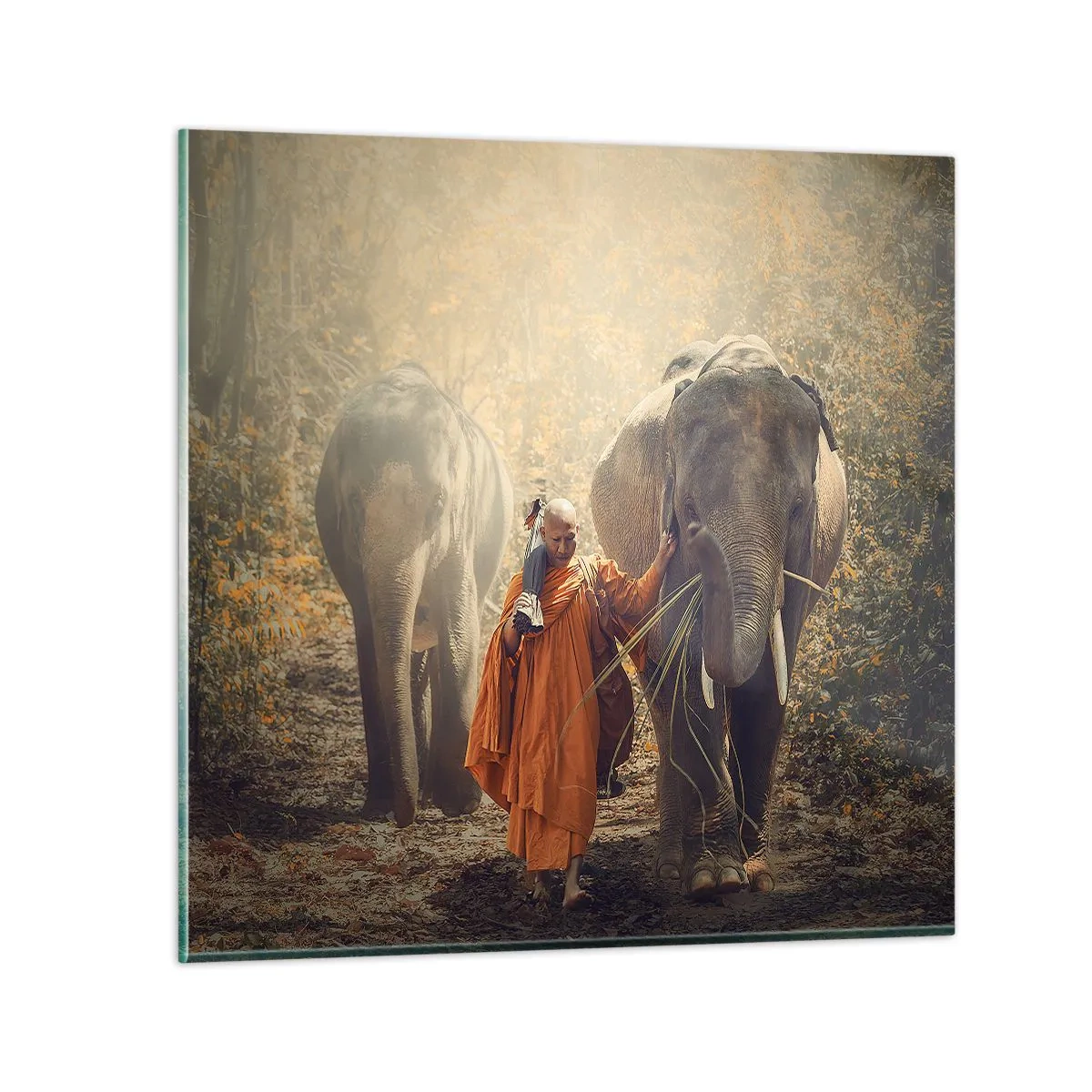 Glastavla - Bild på glas - Full förståelse - 70x70 cm