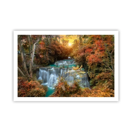 Affisch - Skogens skatt - 91x61 cm