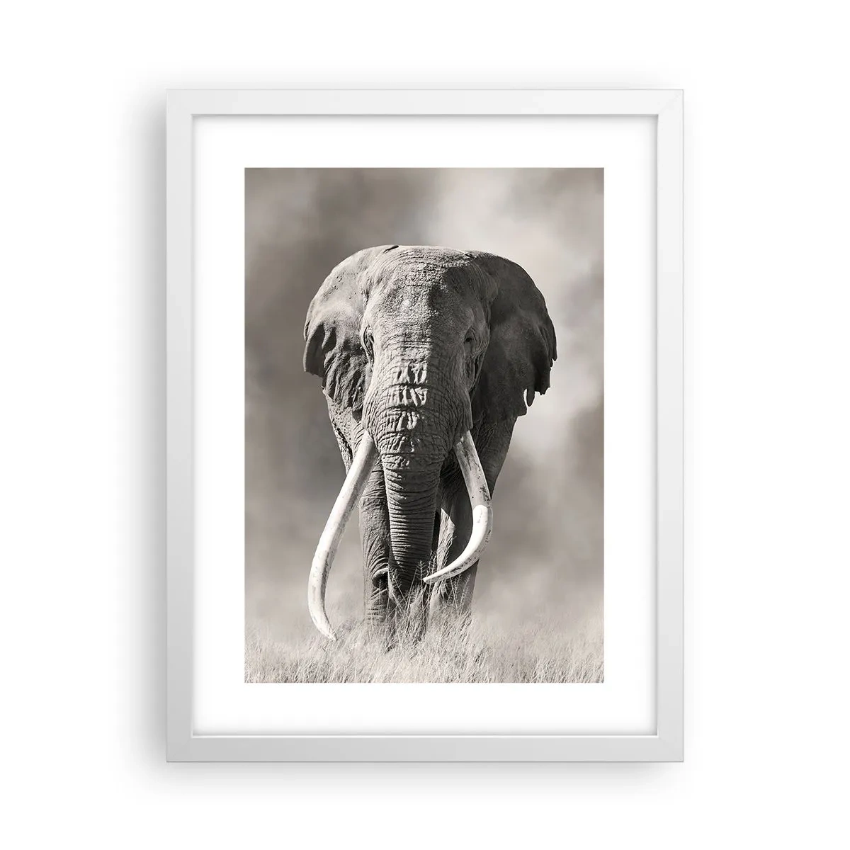 Affisch i vit ram - Afrikansk patriark - 30x40 cm