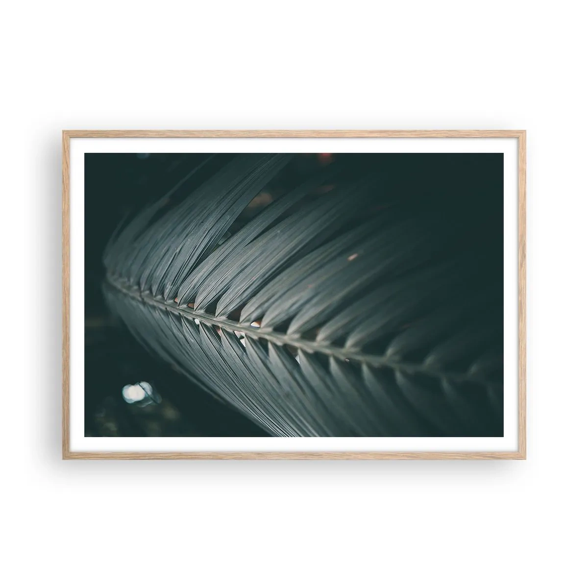 Affisch i ram av ljusek - Naturens precision - 100x70 cm