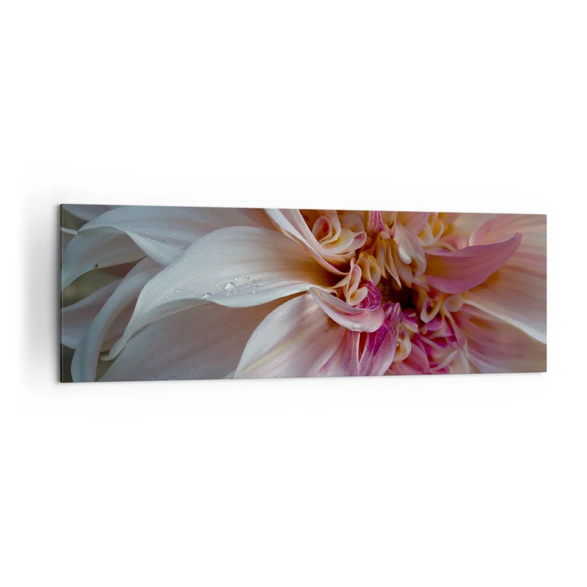 Canvastavla - Bild på duk - Blommande friskhet - 160x50 cm