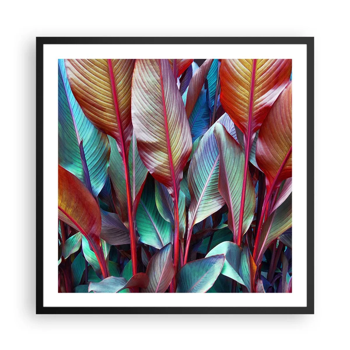 Affisch i svart ram - En färgglad tätskog - 60x60 cm