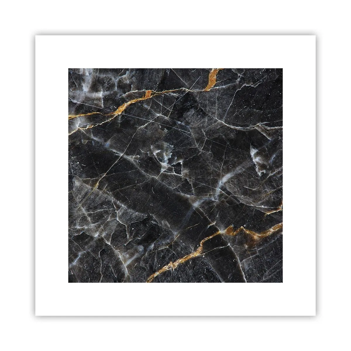 Affisch - Stenens interna liv - 30x30 cm
