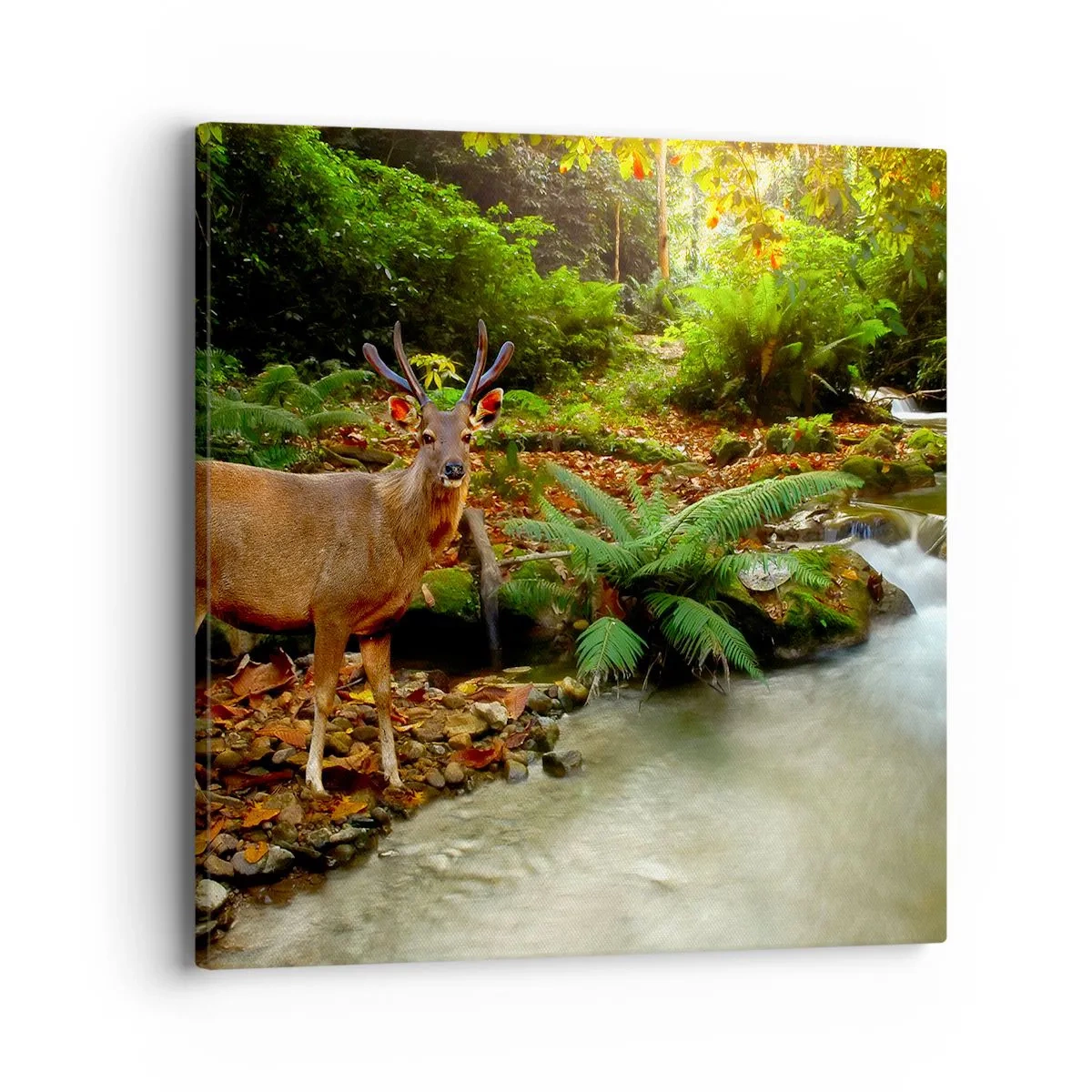 Canvastavla - Bild på duk - Välkommen till min värld - 40x40 cm