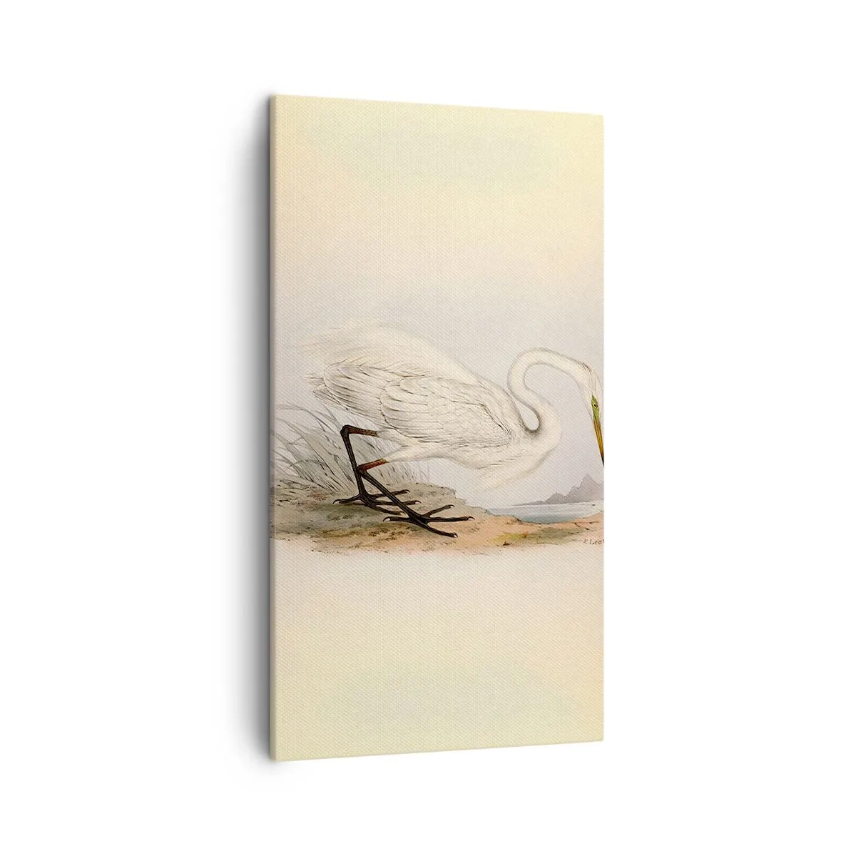 Canvastavla - Bild på duk - En dam i vassen - 45x80 cm