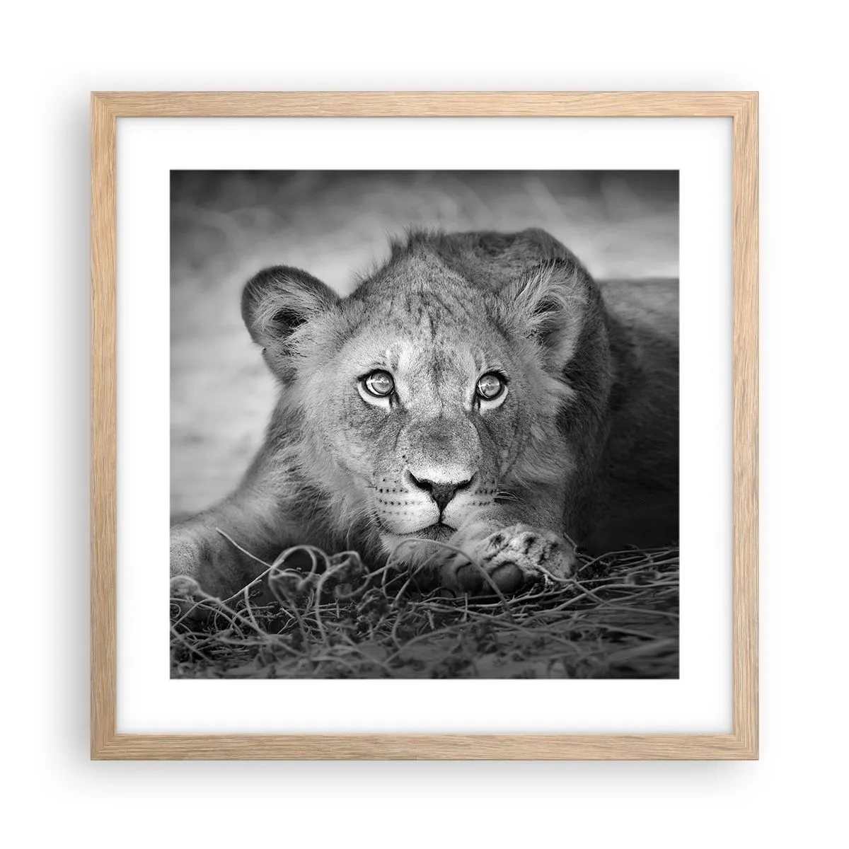Affisch i ram av ljusek - Kunglig valp - 40x40 cm