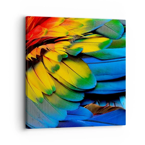 Canvastavla - Bild på duk - Paradisfågel - 30x30 cm