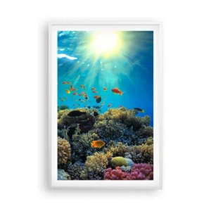 Affisch i vit ram - Undervatenskatter - 61x91 cm