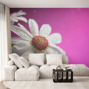 Fototapet Premium Sand - Sparsam i sin skönhet - Blomma, Natur, Trädgård - 350x256 cm