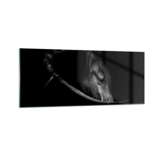 Glastavla - Bild på glas - Svart prins - 100x40 cm