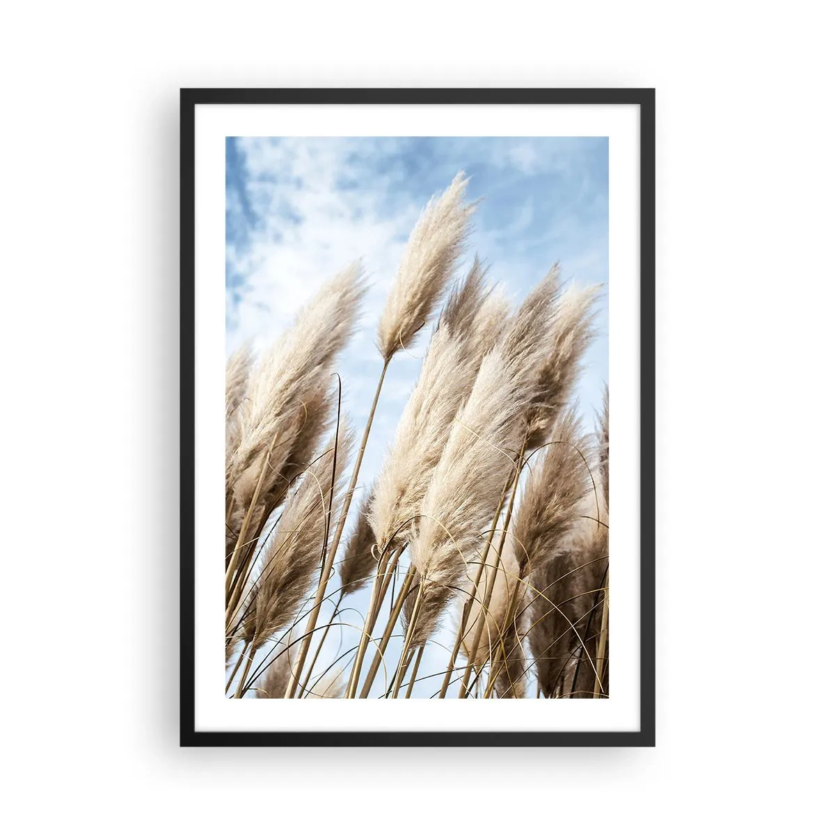 Affisch i svart ram - Pampasgräs mot himlen - 50x70cm - Solig och blåsig smekning - Modern väggdekoration för vardagsrum och sovrum ARTTOR