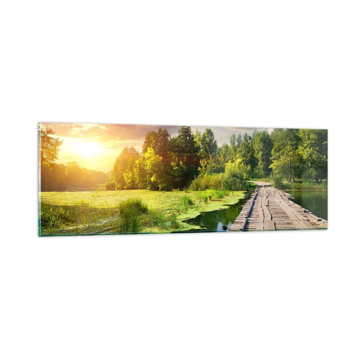 Glastavla - Bild på glas - Sommar, sommar överallt - 90x30 cm