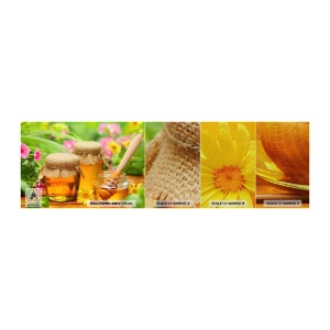Provbit av fototapet Premium Sand - Sött och blommigt - Gastronomi, Honung, Blommor - 100x30 cm
