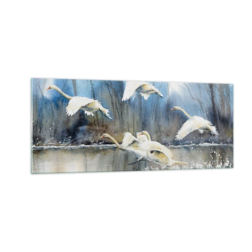 Glastavla - Bild på glas - Som i en saga om vilda svanar - 100x40 cm