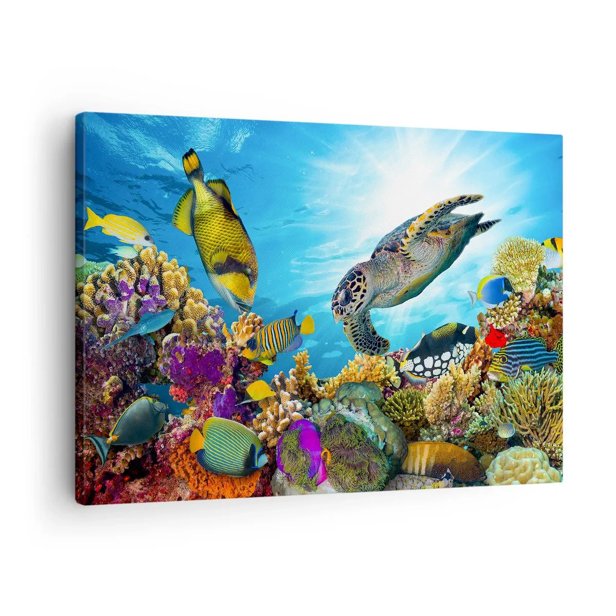 Canvastavla - Bild på duk - Undervattensvärld med färgglada fiskar och en sköldpadda i korallen - 70x50cm - Korallpromenad - Modern väggdekoration för vardagsrum och sovrum ARTTOR
