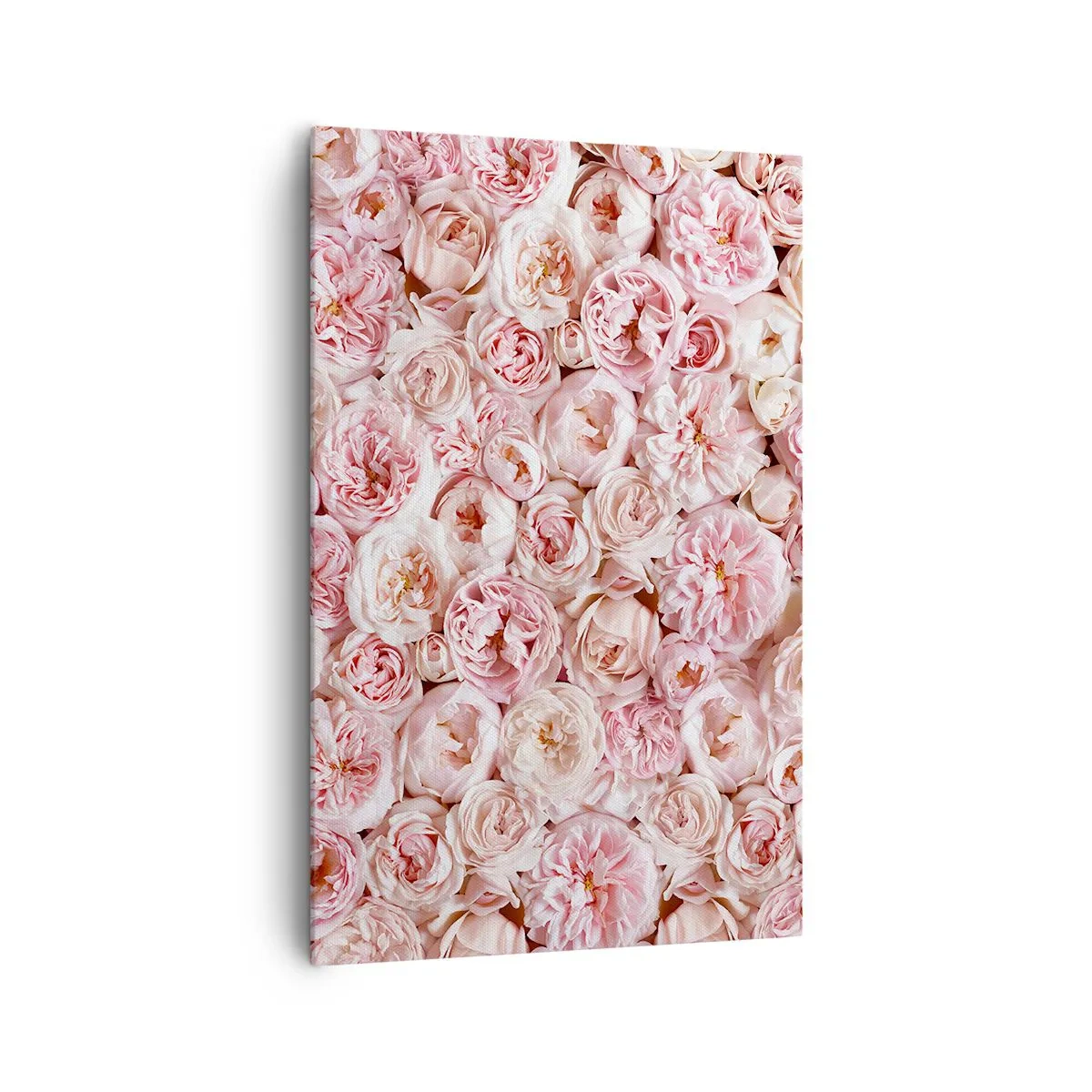 Canvastavla - Bild på duk - Strödd med rosor - 80x120 cm
