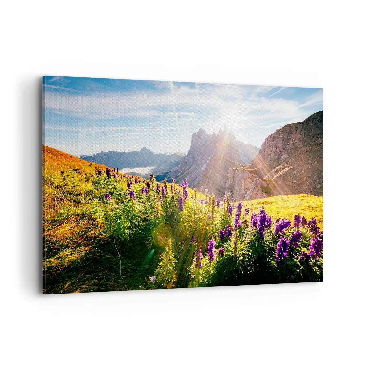 Canvastavla - Bild på duk - Örternas hemliga liv - 120x80 cm