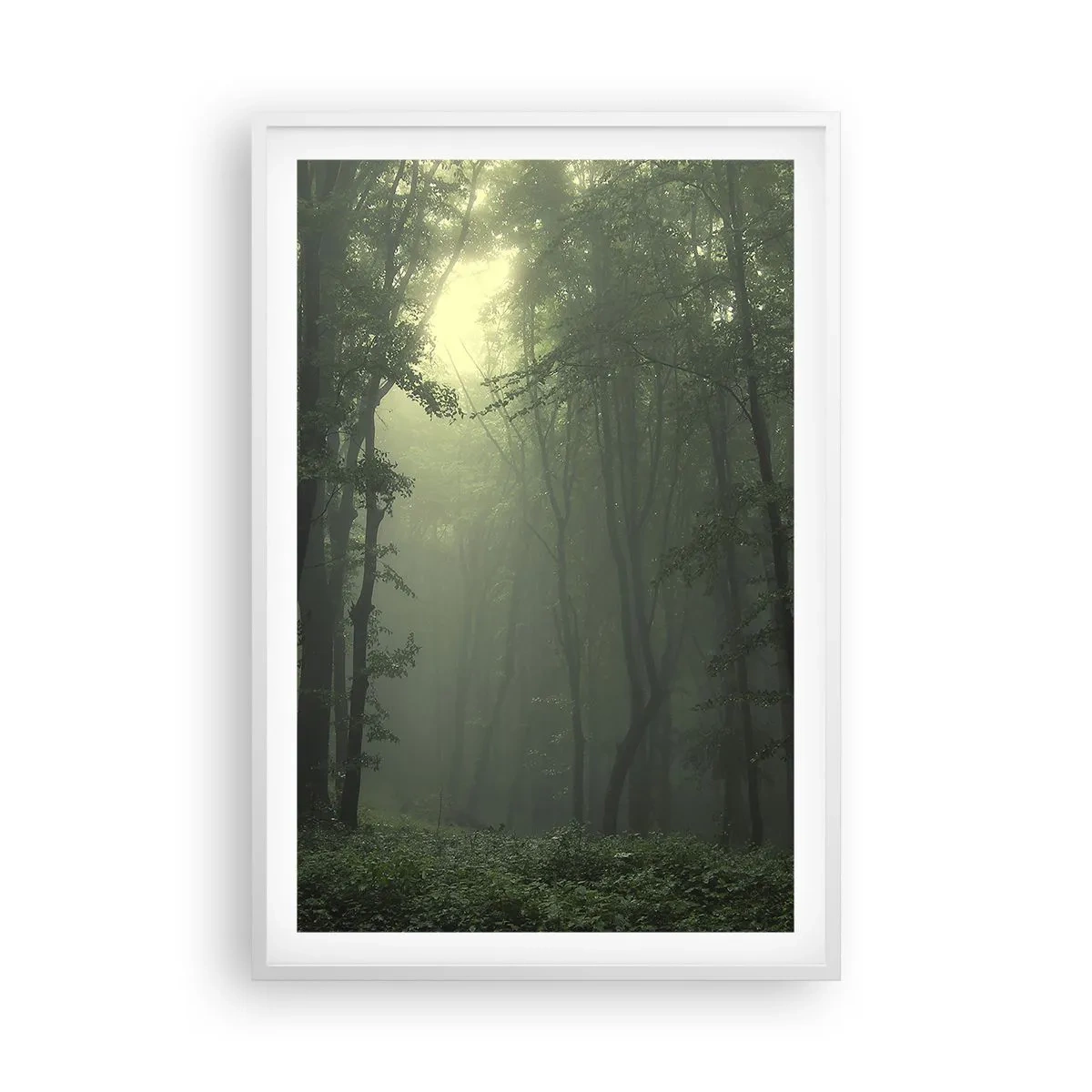 Affisch i vit ram - Innan skogen vaknar - 61x91 cm
