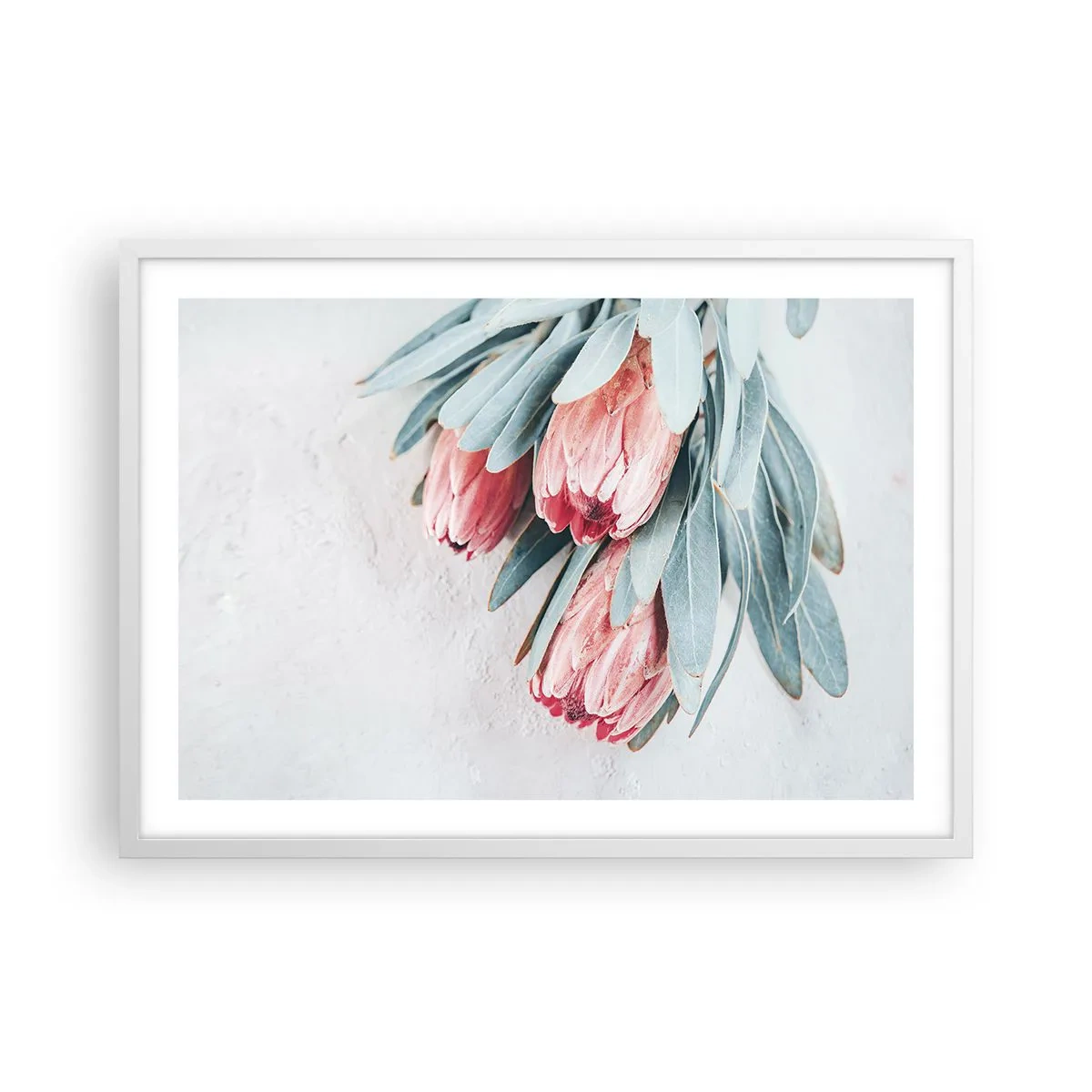 Affisch i vit ram - Generad av sin skönhet - 70x50 cm