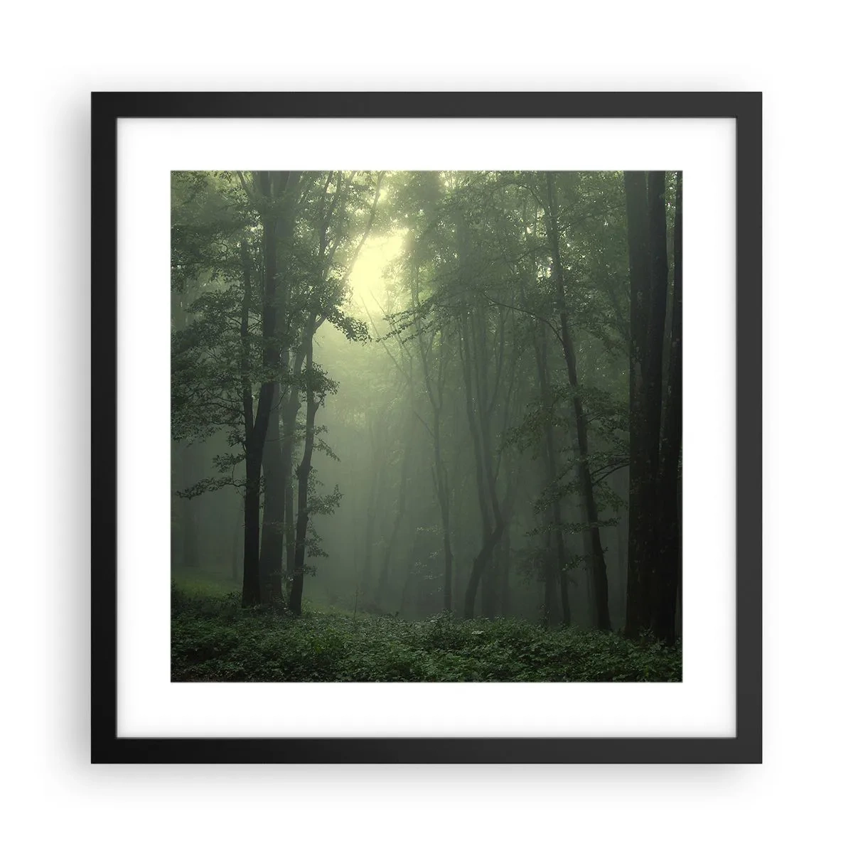 Affisch i svart ram - Innan skogen vaknar - 40x40 cm