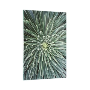 Glastavla - Bild på glas - Stjärna föds - 70x100 cm