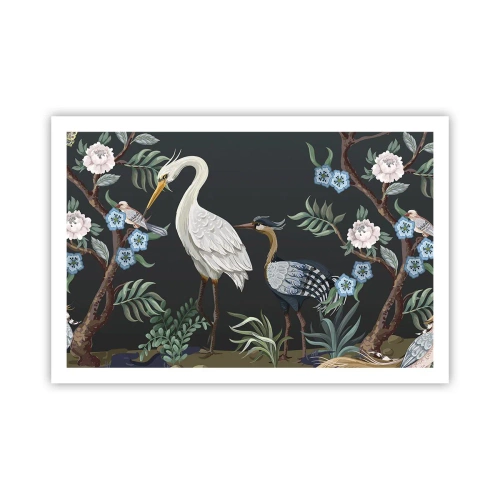 Affisch - Fågelparad - 91x61 cm