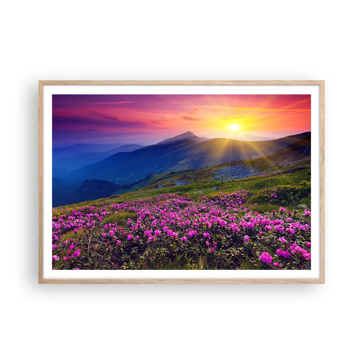 Affisch i ram av ljusek - … Bergtallen doftar och örterna luktar runt omkring - 100x70 cm