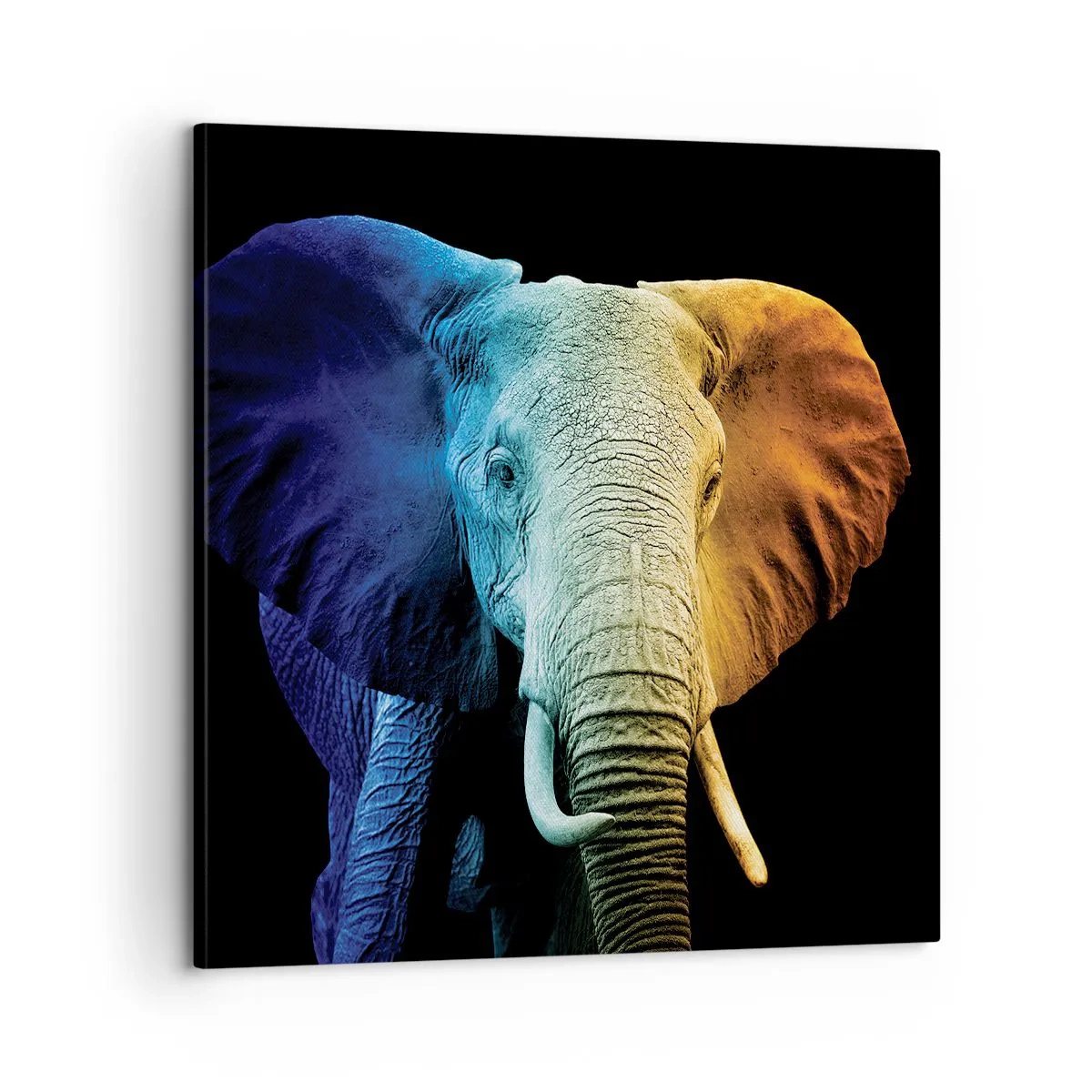 Canvastavla - Bild på duk - Excentriker, ej kuf - 60x60 cm