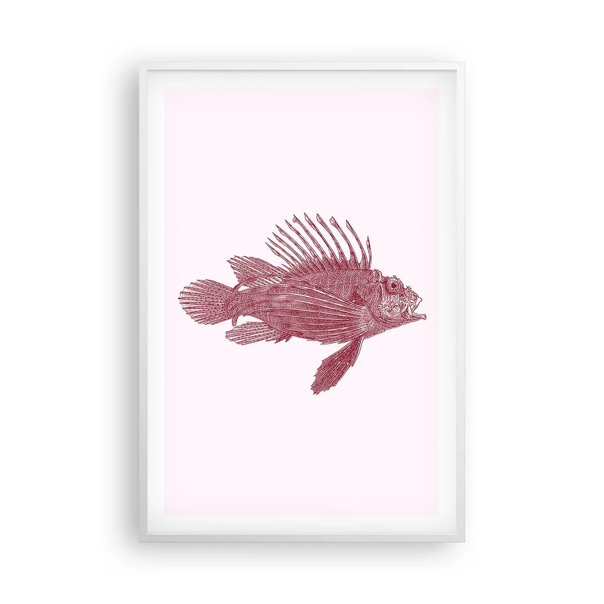 Affisch i vit ram - En invånare i exotiska vatten - 61x91 cm