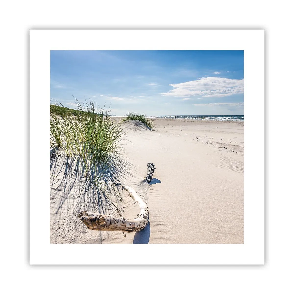 Affisch - Vackrast? Östersjöstrand - 40x40 cm