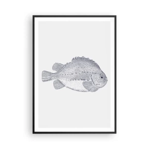 Affisch i svart ram - Till naturforskarens album - 70x100 cm