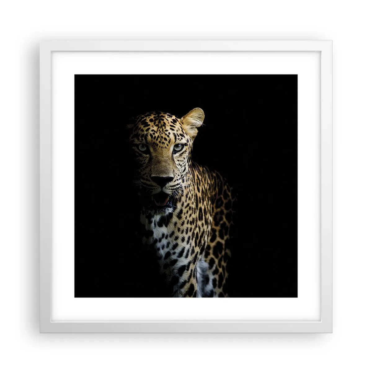 Affisch i vit ram - Mörk skönhet - 40x40 cm