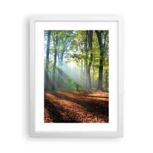 Affisch i vit ram - Sken-och skuggspel - 30x40 cm