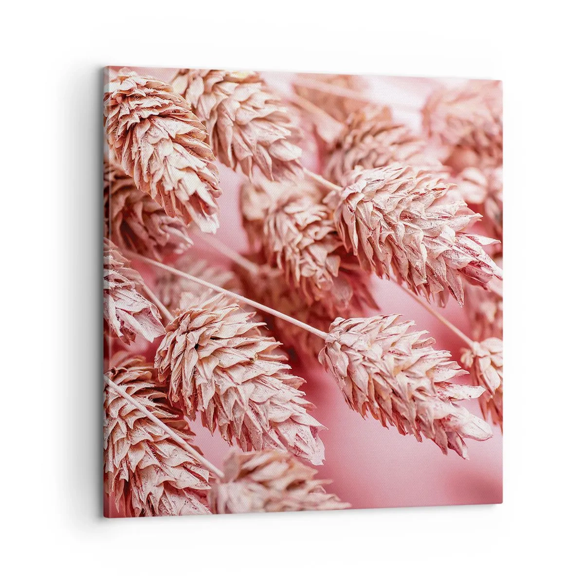 Canvastavla - Bild på duk - Blomkaskad i rosa - 60x60 cm