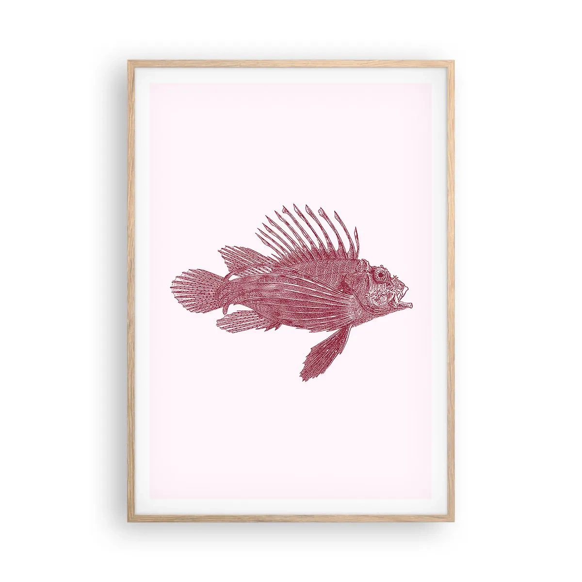 Affisch i ram av ljusek - En invånare i exotiska vatten - 70x100 cm