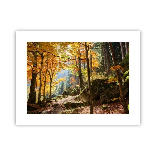 Affisch - Dags att vila - 40x30 cm