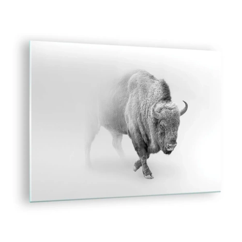 Glastavla - Bild på glas - Svartvit illustration av en majestätisk bisonoxe - 70x50cm - Präriens kung - Modern väggdekoration för vardagsrum och sovrum ARTTOR