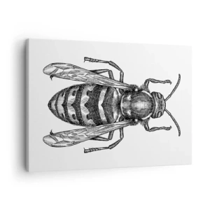 Canvastavla - Bild på duk - Ett tecknat getingmotiv på vit bakgrund i minimalistisk stil. - 70x50cm - Från insektplaneten  - Modern väggdekoration för vardagsrum och sovrum ARTTOR