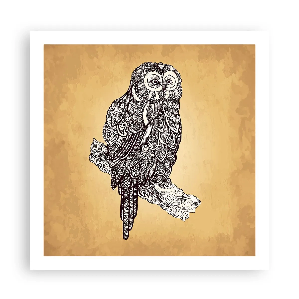 Affisch - Invecklade ornament av visdom - 60x60 cm